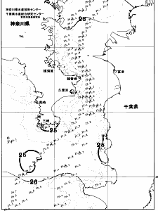 東京湾口海況図(2026/08/16)