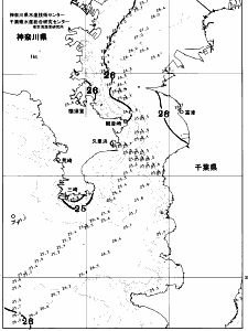 東京湾口海況図(2026/08/18)