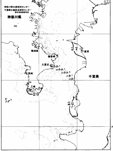 東京湾口海況図(2026/08/19)