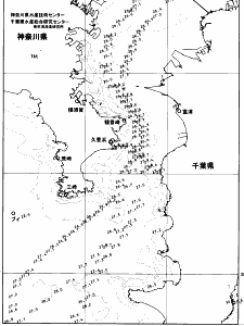 東京湾口海況図(2026/08/21)
