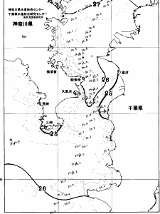 東京湾口海況図(2026/08/30)