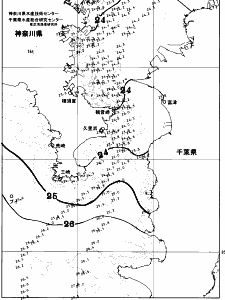 東京湾口海況図(2026/09/17)