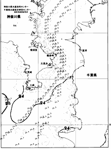 東京湾口海況図(2026/09/24)