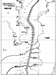 東京湾口海況図(2026/10/03)