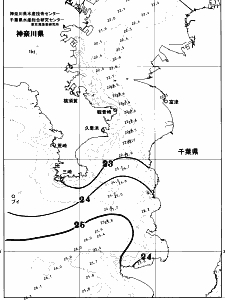 東京湾口海況図(2026/10/05)