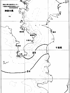 東京湾口海況図(2026/10/07)
