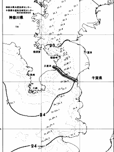 東京湾口海況図(2026/10/11)