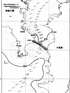 東京湾口海況図(2026/10/12)
