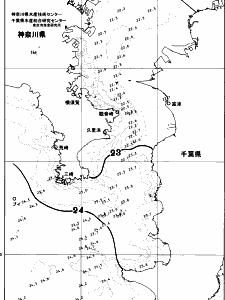 東京湾口海況図(2026/10/16)