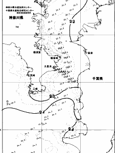 東京湾口海況図(2026/10/19)