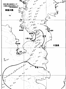 東京湾口海況図(2026/10/21)