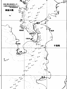 東京湾口海況図(2026/10/22)