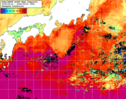 NOAA人工衛星画像:黒潮域, 1週間合成画像(2024/04/23～2024/04/29UTC)