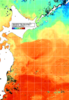 NOAA人工衛星画像:親潮域, 1週間合成画像(2024/06/22～2024/06/28UTC)