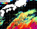 NOAA人工衛星画像:黒潮域, 1日合成画像(2024/07/01UTC)