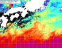 NOAA人工衛星画像:黒潮域, 1週間合成画像(2024/06/25～2024/07/01UTC)