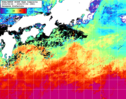 NOAA人工衛星画像:黒潮域, 1週間合成画像(2024/06/26～2024/07/02UTC)