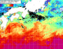 NOAA人工衛星画像:黒潮域, 1週間合成画像(2024/06/27～2024/07/03UTC)
