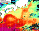 NOAA人工衛星画像:黒潮域, 1日合成画像(2024/07/04UTC)
