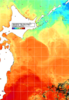 NOAA人工衛星画像:親潮域, 1週間合成画像(2024/06/28～2024/07/04UTC)