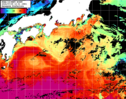 NOAA人工衛星画像:黒潮域, パス=20240705 12:01 UTC