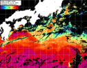 NOAA人工衛星画像:黒潮域, パス=20240708 11:23 UTC