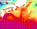 NOAA人工衛星画像:黒潮域, 1週間合成画像(2024/07/02～2024/07/08UTC)
