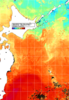 NOAA人工衛星画像:親潮域, 1週間合成画像(2024/07/02～2024/07/08UTC)