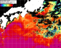 NOAA人工衛星画像:黒潮域, 1日合成画像(2024/07/09UTC)