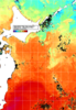 NOAA人工衛星画像:親潮域, 1週間合成画像(2024/07/03～2024/07/09UTC)