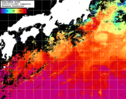 NOAA人工衛星画像:黒潮域, 1日合成画像(2024/07/10UTC)