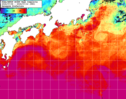 NOAA人工衛星画像:黒潮域, 1週間合成画像(2024/07/06～2024/07/12UTC)