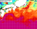 NOAA人工衛星画像:黒潮域, 1週間合成画像(2024/07/07～2024/07/13UTC)