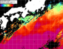 NOAA人工衛星画像:黒潮域, 1日合成画像(2024/07/14UTC)