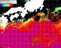 NOAA人工衛星画像:黒潮域, 1日合成画像(2024/07/16UTC)