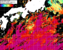 NOAA人工衛星画像:黒潮域, 1日合成画像(2024/07/18UTC)