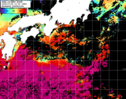 NOAA人工衛星画像:黒潮域, パス=20240720 13:20 UTC