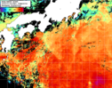 NOAA人工衛星画像:黒潮域, 1日合成画像(2024/07/24UTC)
