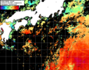 NOAA人工衛星画像:黒潮域, 1日合成画像(2024/07/25UTC)