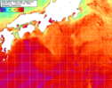 NOAA人工衛星画像:黒潮域, 1週間合成画像(2024/07/19～2024/07/25UTC)