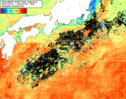NOAA人工衛星画像:黒潮域, 1週間合成画像(2024/09/24～2024/09/30UTC)