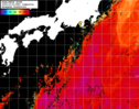 NOAA人工衛星画像:黒潮域, 1日合成画像(2024/10/03UTC)