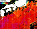 NOAA人工衛星画像:黒潮域, 1日合成画像(2024/10/06UTC)
