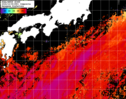 NOAA人工衛星画像:黒潮域, 1日合成画像(2024/10/08UTC)