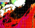 NOAA人工衛星画像:黒潮域, 1日合成画像(2024/10/09UTC)