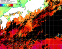 NOAA人工衛星画像:黒潮域, 1日合成画像(2024/10/12UTC)