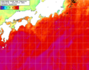 NOAA人工衛星画像:黒潮域, 1週間合成画像(2024/10/06～2024/10/12UTC)