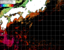 NOAA人工衛星画像:黒潮域, パス=20241013 00:40 UTC