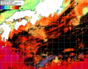 NOAA人工衛星画像:黒潮域, 1日合成画像(2024/10/13UTC)