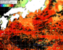 NOAA人工衛星画像:黒潮域, 1日合成画像(2024/10/14UTC)